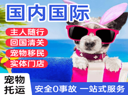 滨海空运地址国际宠物托运 【国